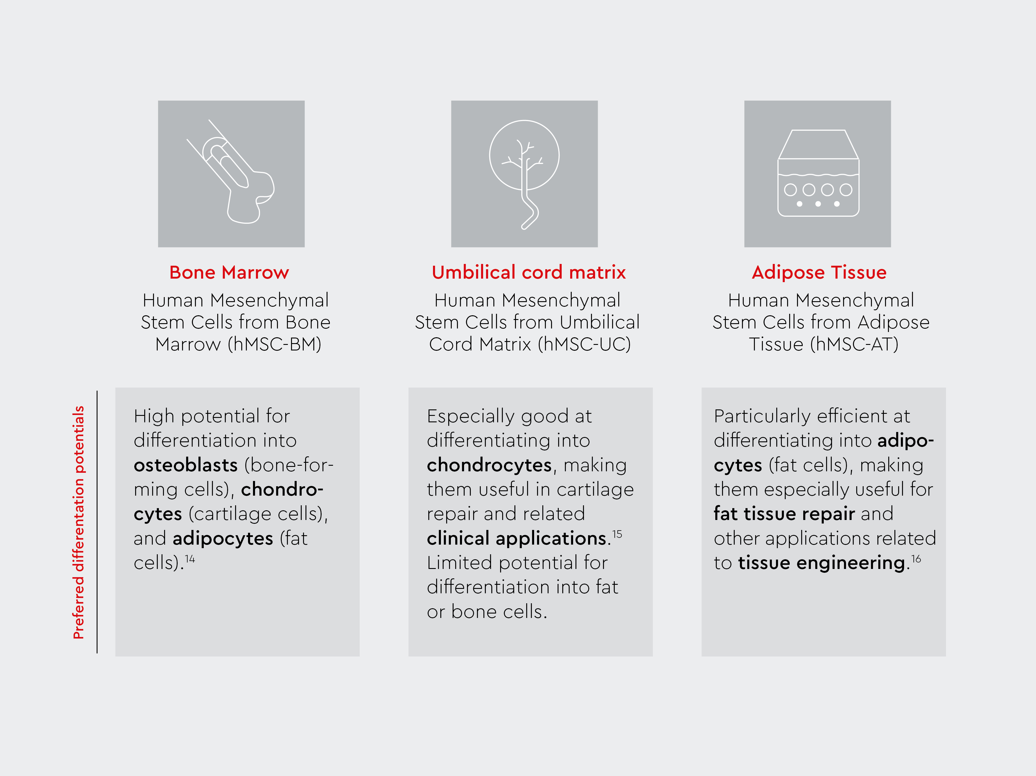 An overview of the differences between the three types of MSC from bone marrow, umbilical cord matrix and adipose tissue.