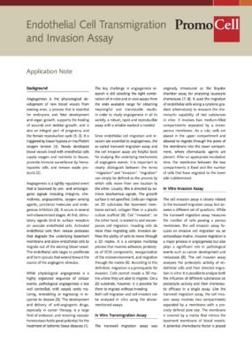 Application Note Endothelial Cell Transmigration
