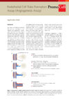 Application Note Endothelial Cell Tube Formation Assay