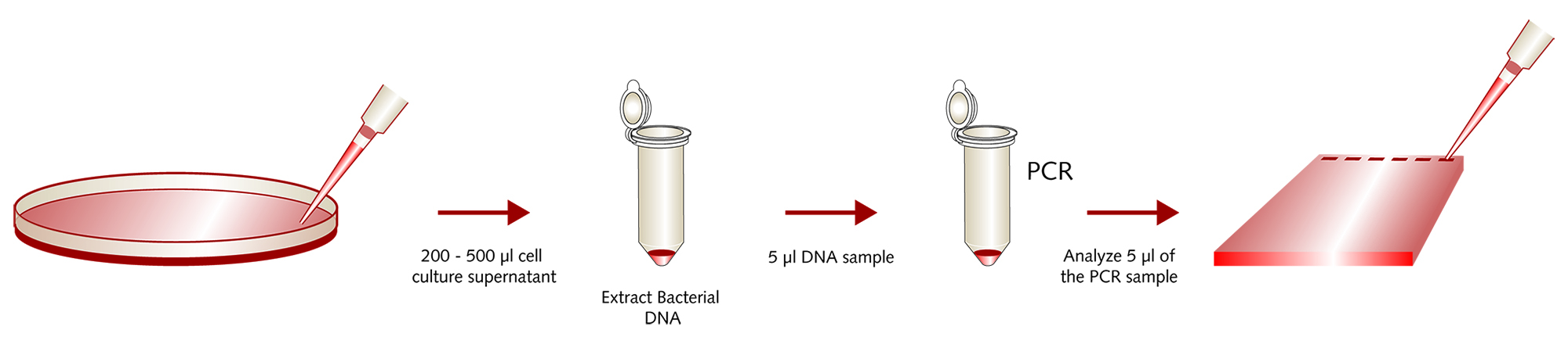 Pcr Bacteria Test Kit Promocell