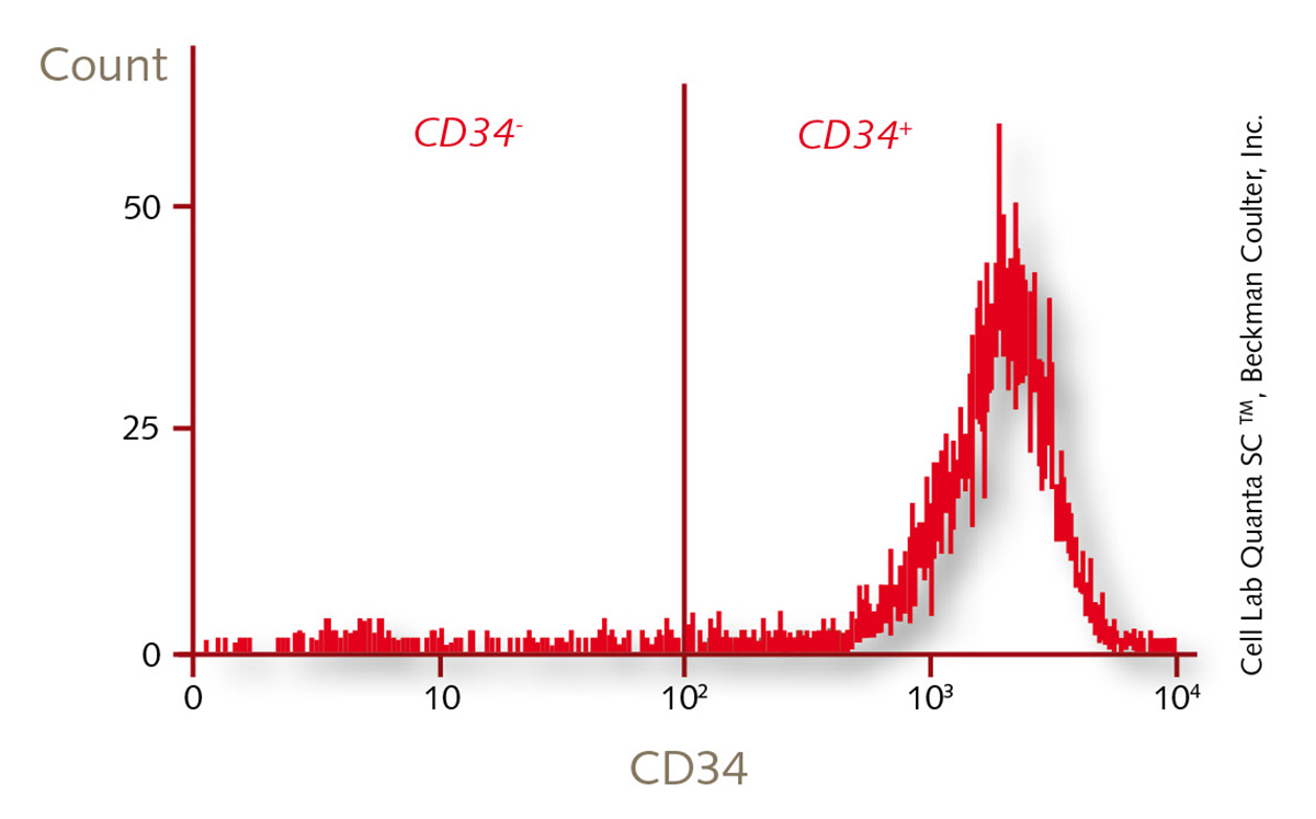 cd34-monocyte-cell-culture-flow-cytometry-cd34