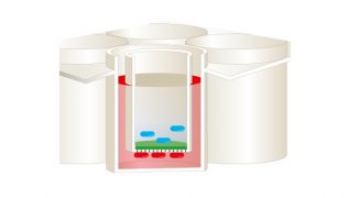 Cell Invasion Assay Kit Cell Culture