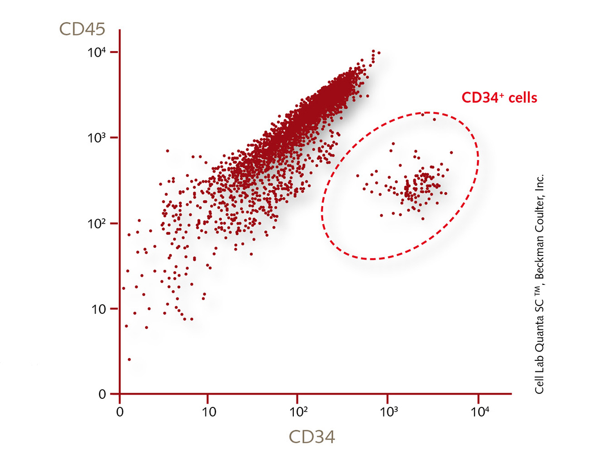 Human Mononuclear Cells from Cord Blood Flow Cytrometry CD34