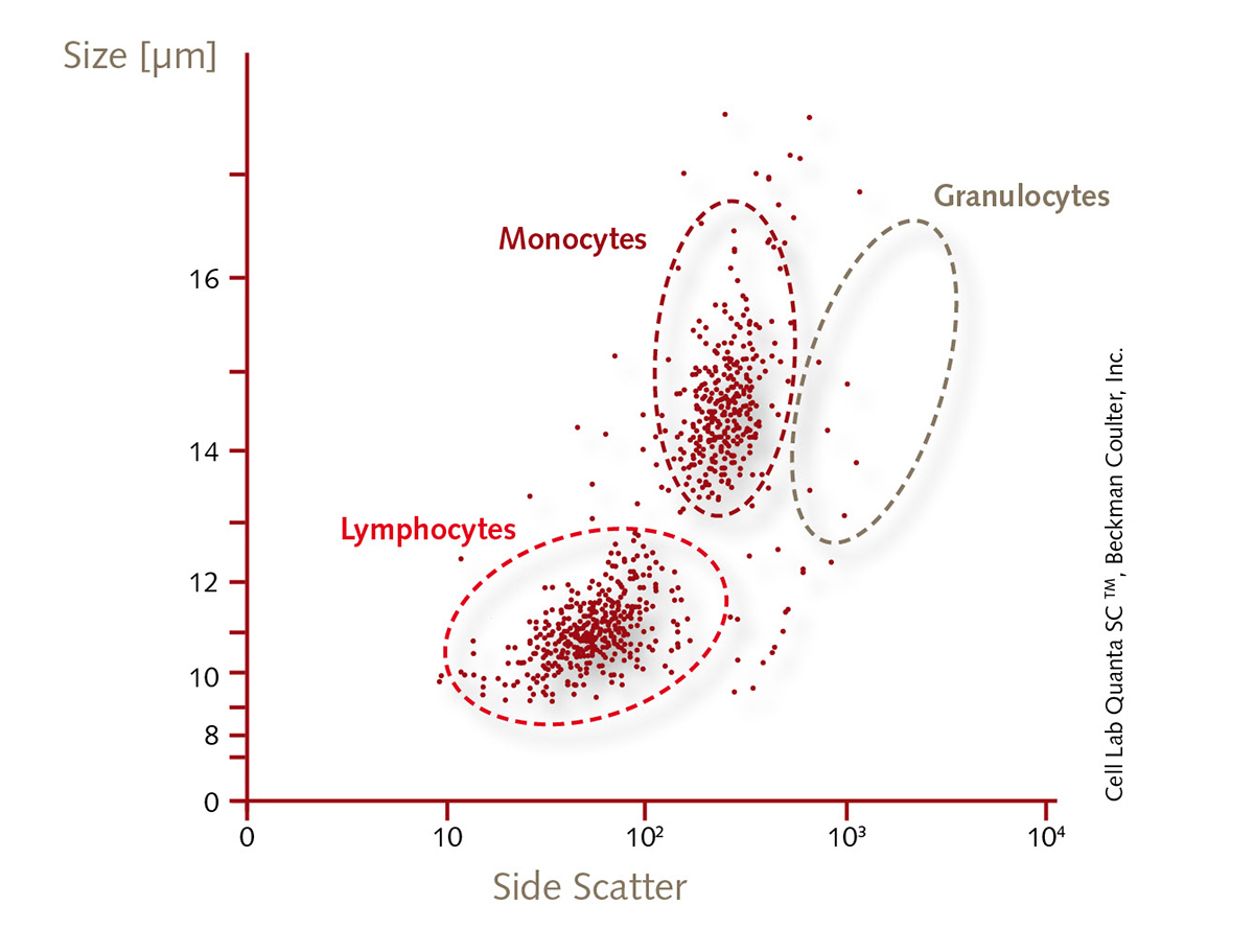human-mononuclear-cells-from-cord-blood-flow-cytrometry-granulocytes