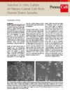 Cover_Primary Cancer Cell Culture AppNote