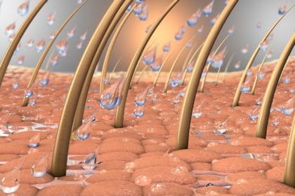 3d illustration of water drops on a close up part of skin with hair and hair roots