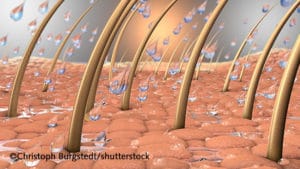 3d illustration of water drops on a close up part of skin with hair and hair roots