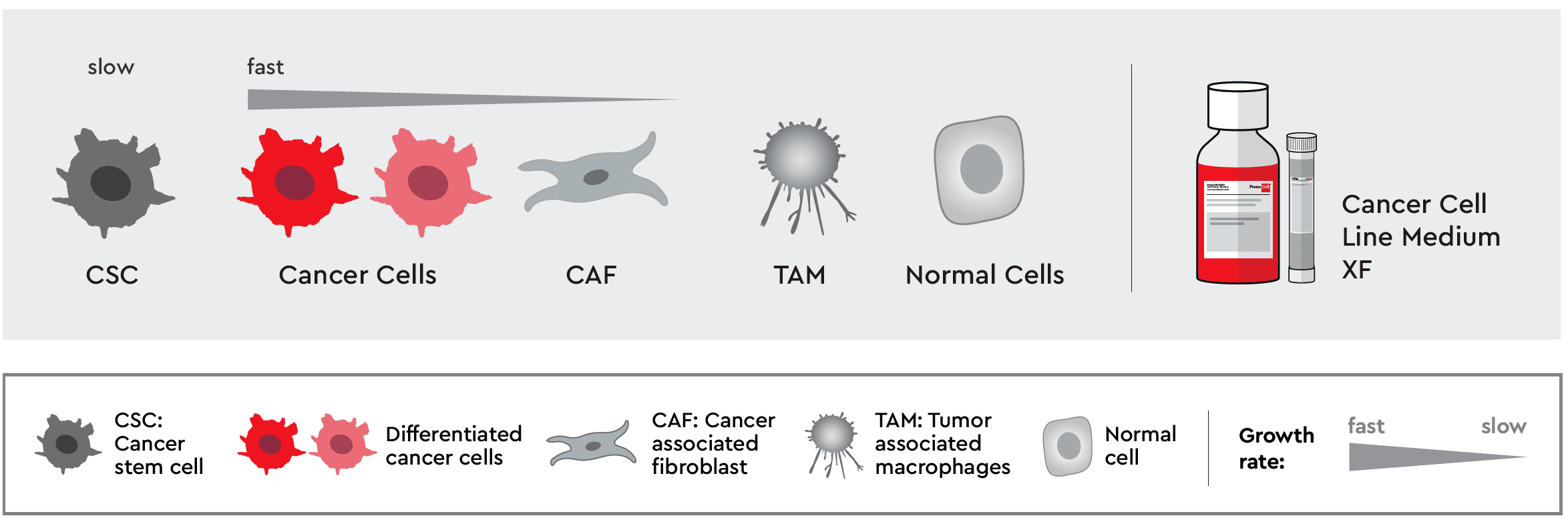 Cancer cell Line Medium XF In Cancer Media Tool Box