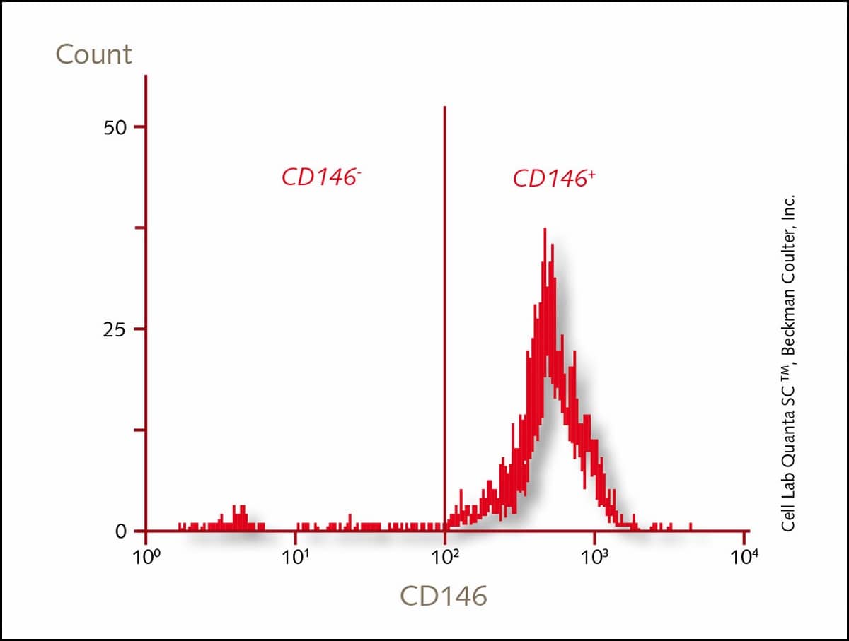 Expression of CD146 Graph
