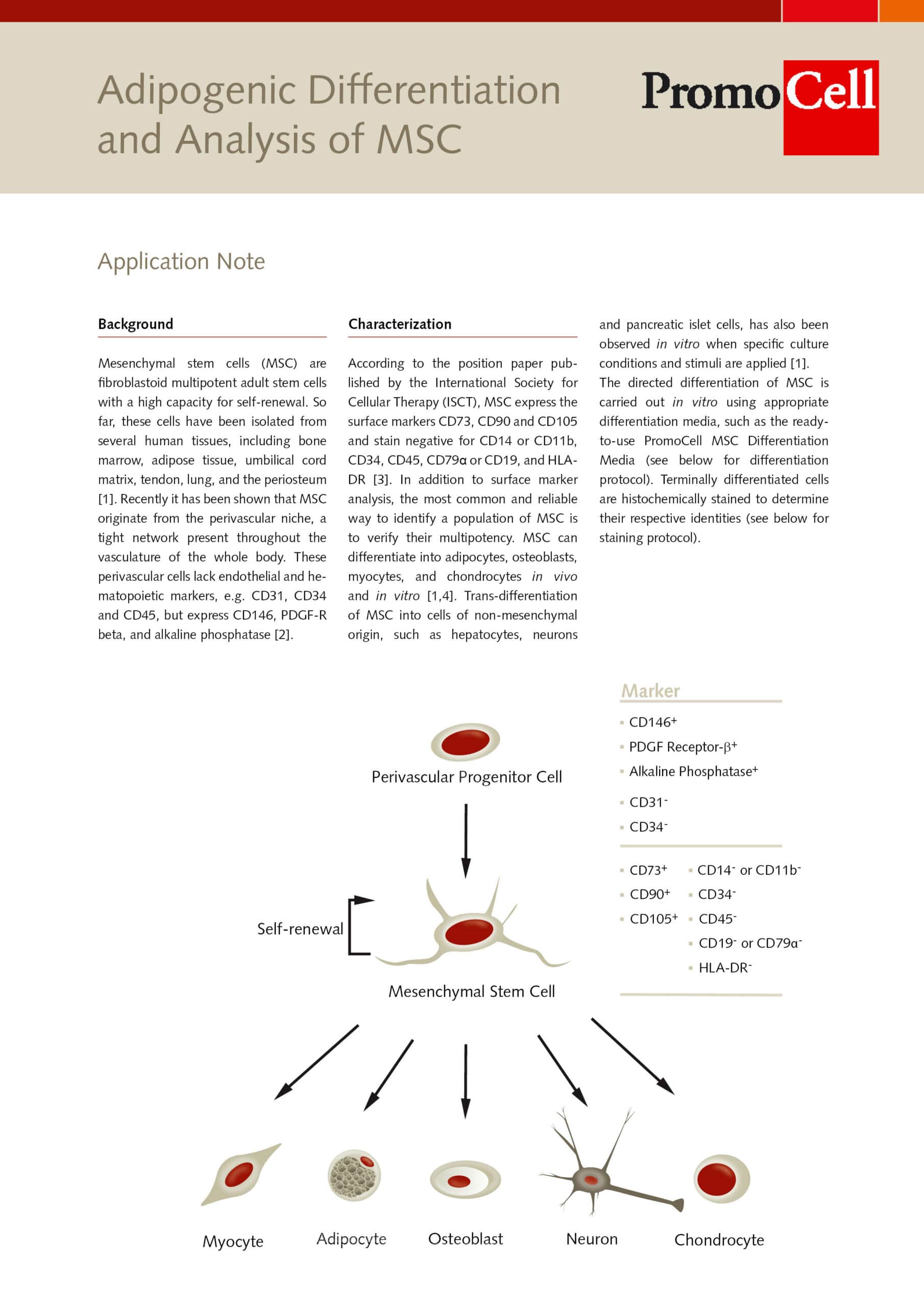 AppNote_Adipogenic-Differentiation-and-Analysis-of-MSC_Thumbnail