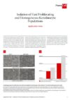 Isolation of Fast Proliferating and Homogeneous Keratinocyte Populations
