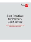 Best Practices in Cell Culture