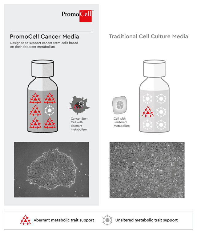 Cancer Stem Cell Selection - PromoCell PromoCell