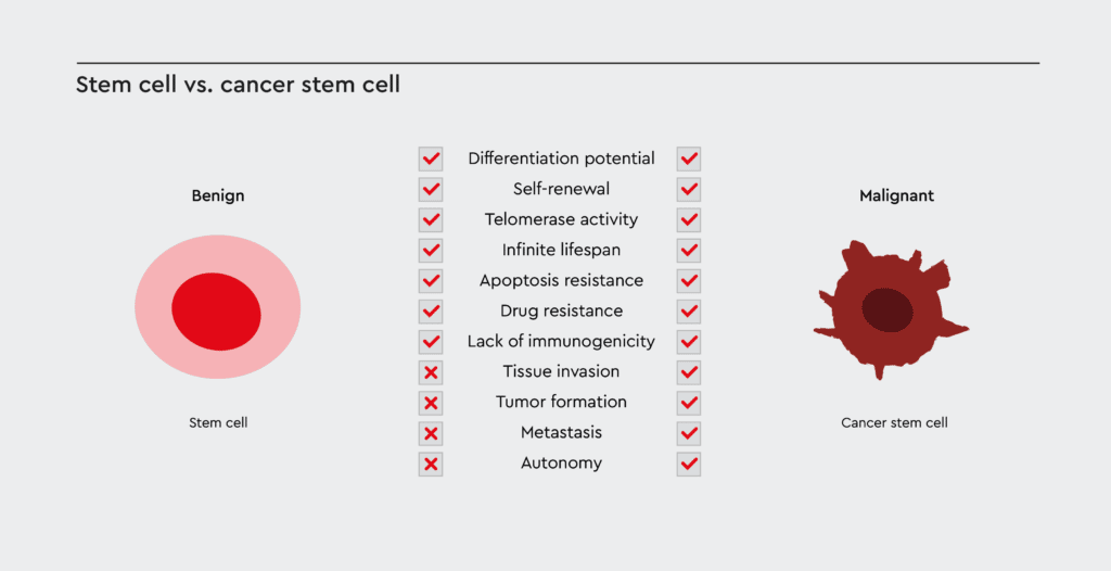 Figure 2: Stem cell vs. cancer stem cell