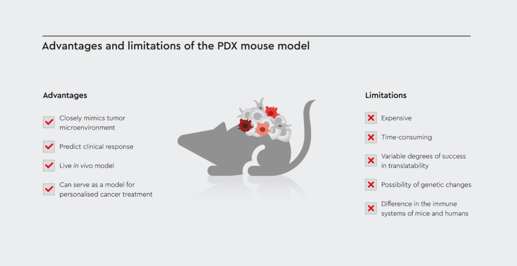 Pros and cons list of PDX mouse models