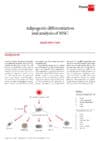 Adipogenic Differentiation and analysis of MSC application note