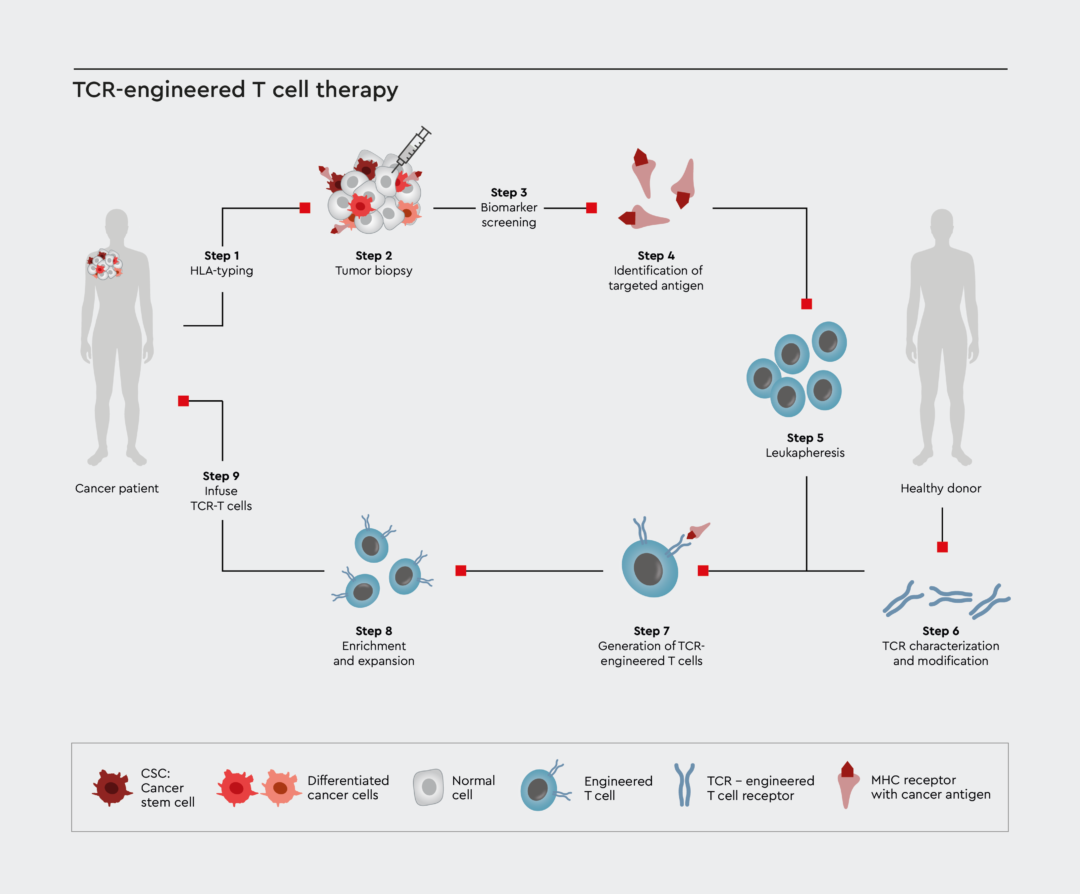 Immuno-Oncology |CAR-T Cell Therapy| Clinical Trials - PromoCell