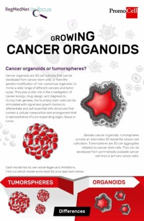 Cancer organoids infographic