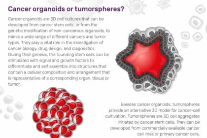 Cancer organoids infographic