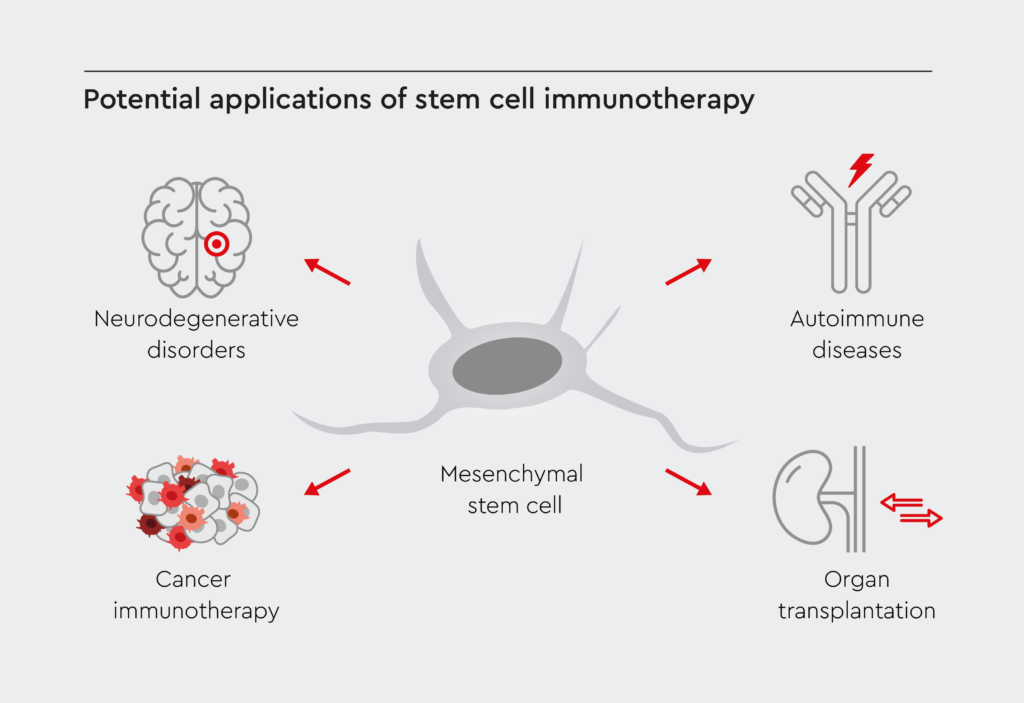 Potential applications of stem cell immunotherapy