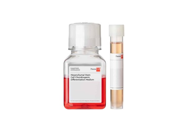 Mesenchymal Stem Cell Chondrogenic Differentiation Medium (Ready-to-use)