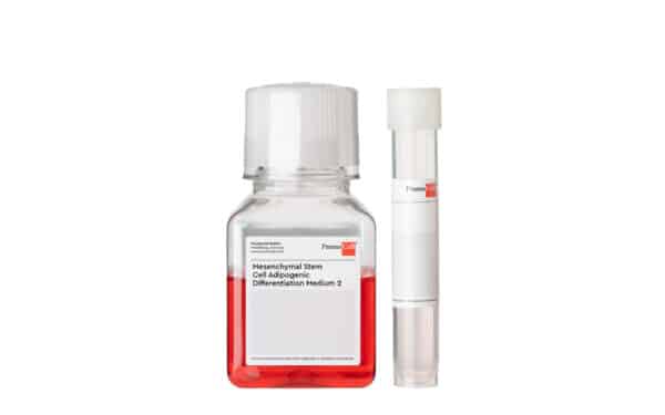 Mesenchymal Stem Cell Adipogenic Differentiation Medium (Ready-to-use)