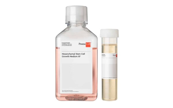 Mesenchymal Stem Cell Growth Medium XF (Ready-to-use)